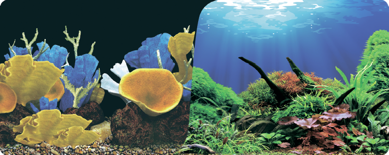  Фон Prime 60x150см, двухсторонний, Морские кораллы/Подводный мир