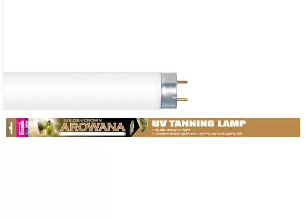  Лампа Arcadia Golden Crown Arovana, Т8, UV, 36W, 120см 